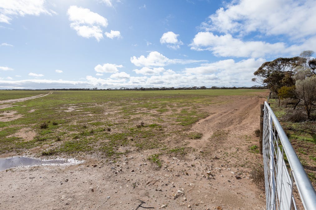 2 Larwood Road, Pinkawillinie, SA, 5641 - Image 10