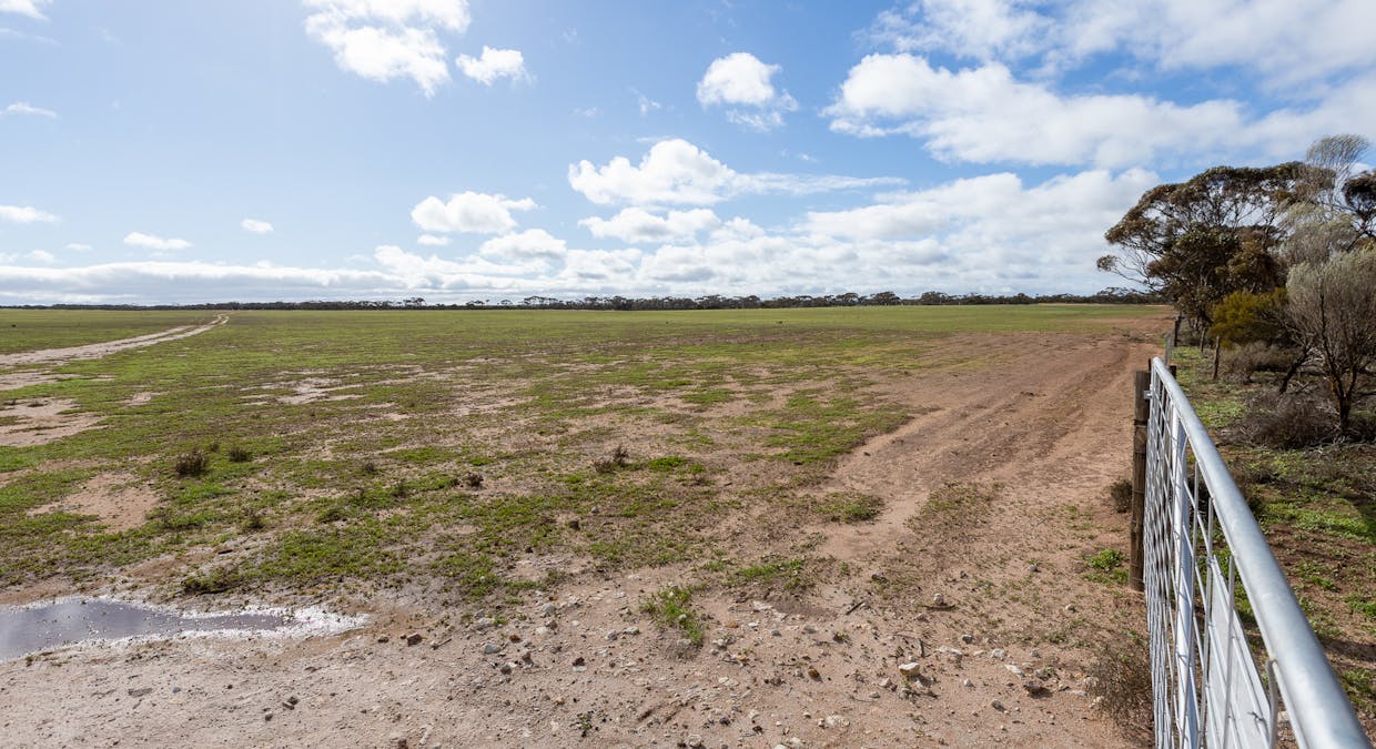 2 Larwood Road, Pinkawillinie, SA, 5641 - Image 10