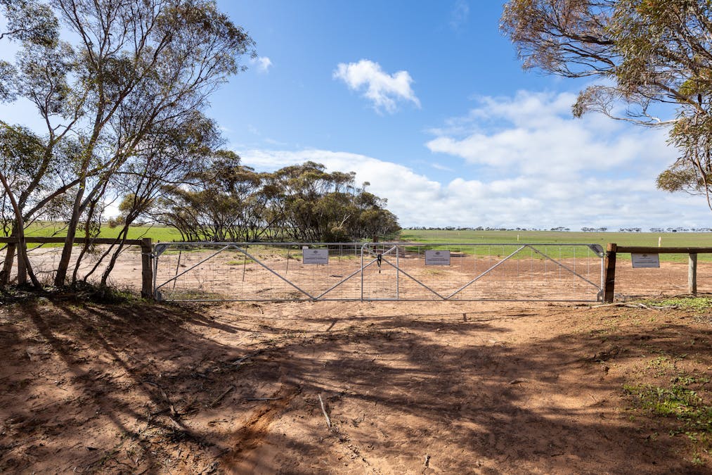 2 Larwood Road, Pinkawillinie, SA, 5641 - Image 11
