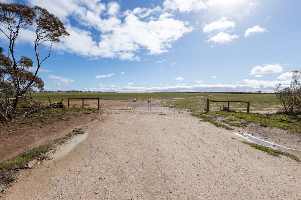 2 Larwood Road, Pinkawillinie, SA, 5641 - Image 8