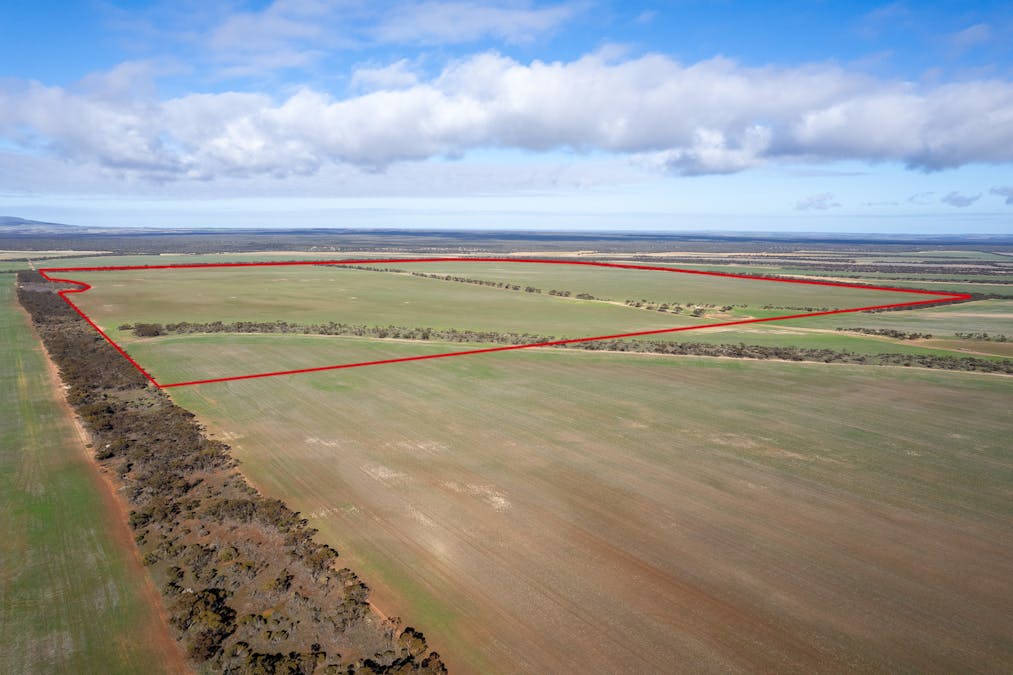 2 Larwood Road, Pinkawillinie, SA, 5641 - Image 12
