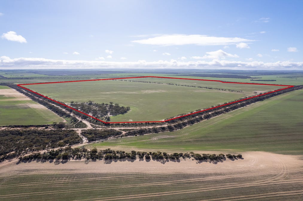 2 Larwood Road, Pinkawillinie, SA, 5641 - Image 2