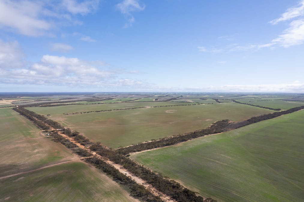 2 Larwood Road, Pinkawillinie, SA, 5641 - Image 13