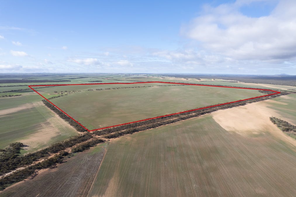 2 Larwood Road, Pinkawillinie, SA, 5641 - Image 14