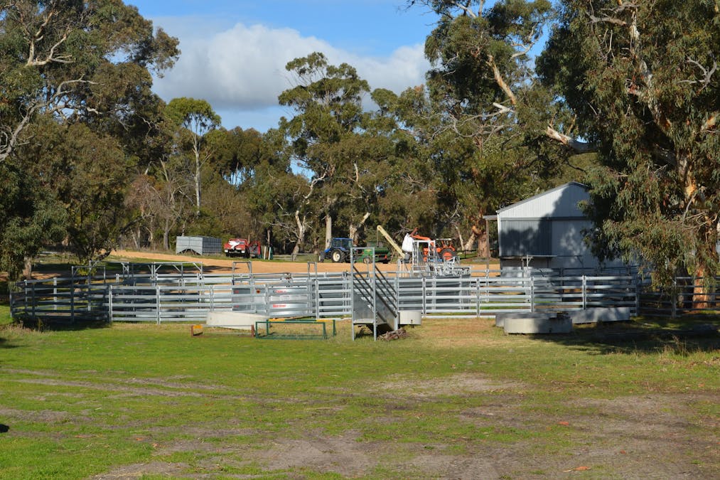 555 Mail Bridge Road, Kingston Se, SA, 5275 - Image 4