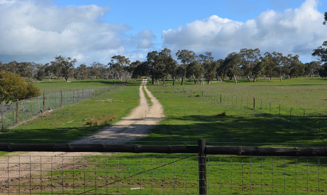 555 Mail Bridge Road, Kingston Se, SA, 5275 - Image 12