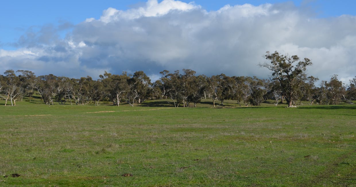 555 Mail Bridge Road, Kingston Se, SA, 5275 - Image 11