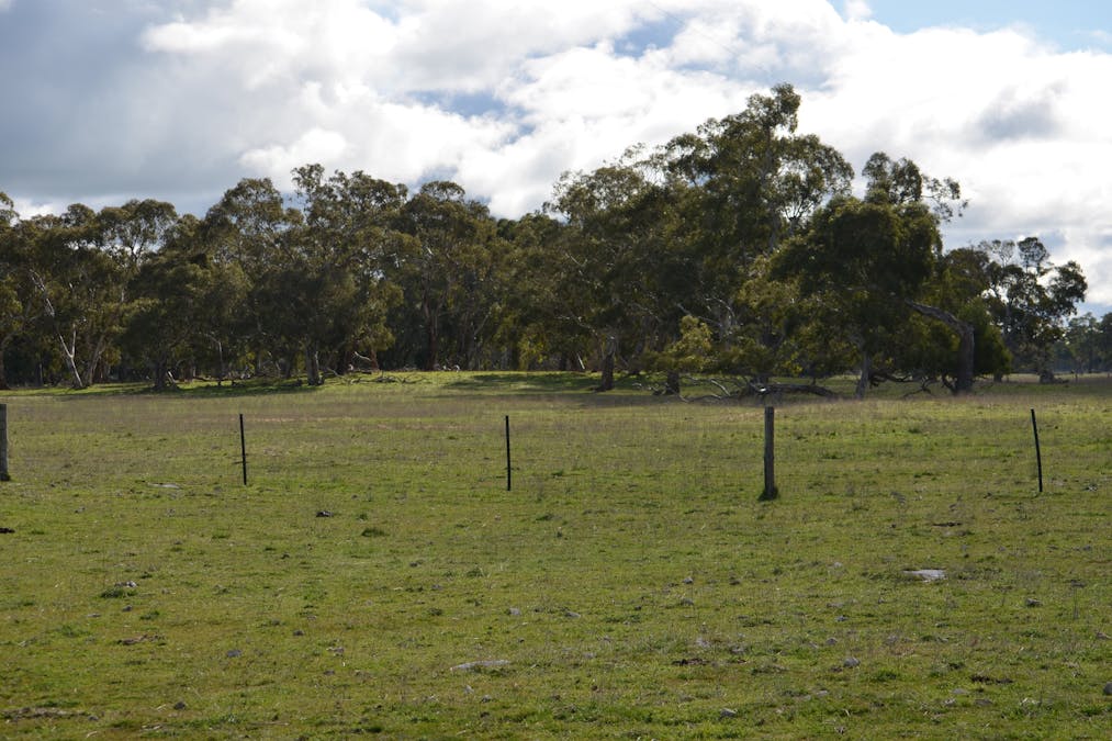 555 Mail Bridge Road, Kingston Se, SA, 5275 - Image 13