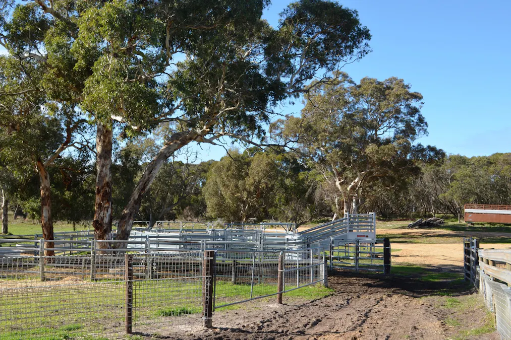 555 Mail Bridge Road, Kingston Se, SA, 5275 - Image 10