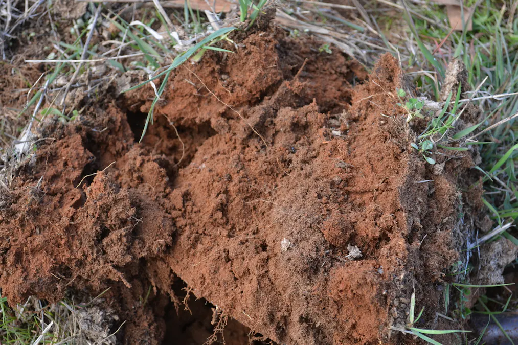 555 Mail Bridge Road, Kingston Se, SA, 5275 - Image 5