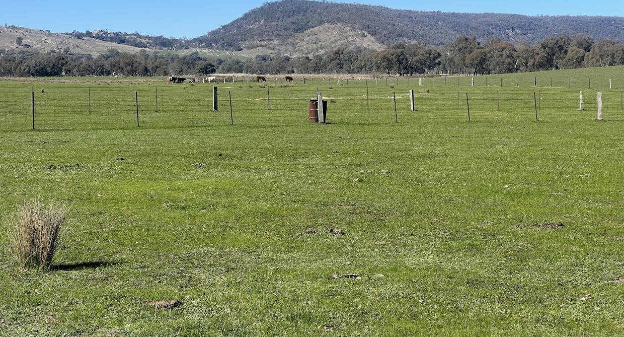 Cheesley Gate Road, Indigo Valley, VIC, 3688 - Image 1
