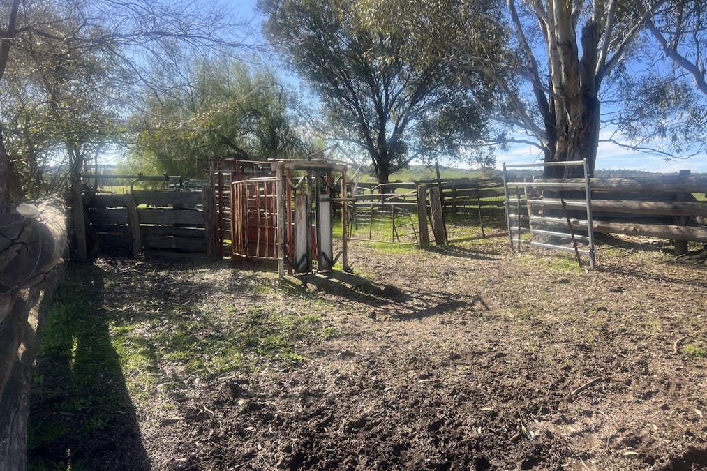 Cheesley Gate Road, Indigo Valley, VIC, 3688 - Image 5