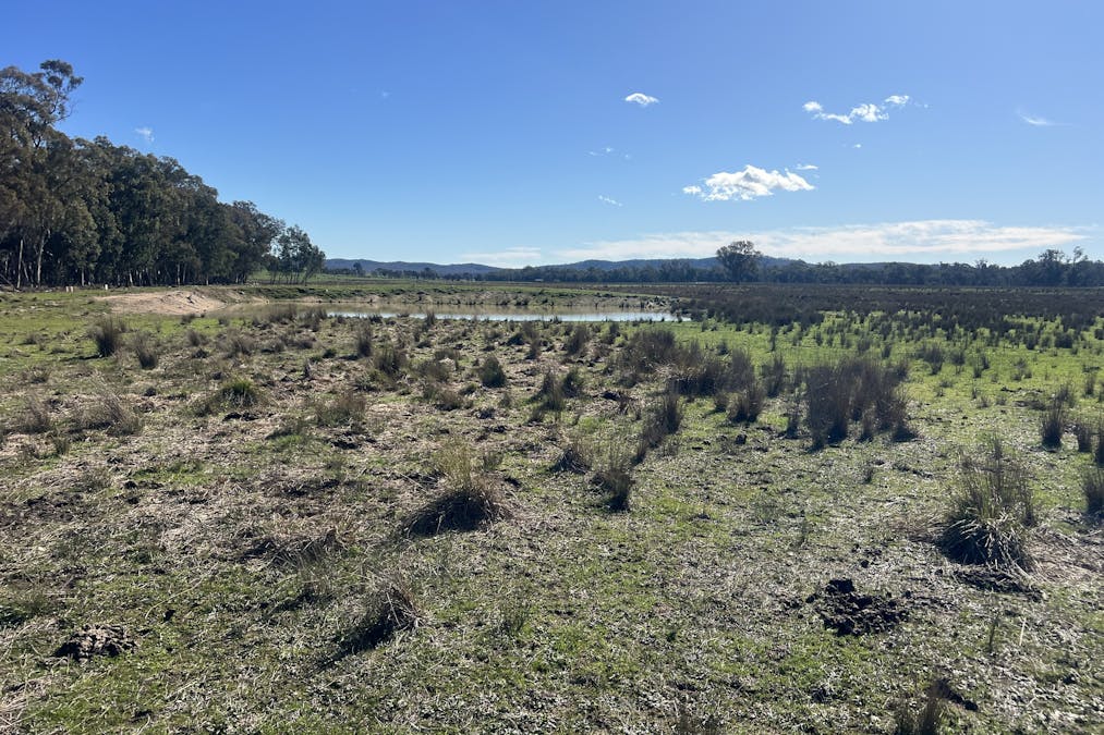 Cheesley Gate Road, Indigo Valley, VIC, 3688 - Image 20