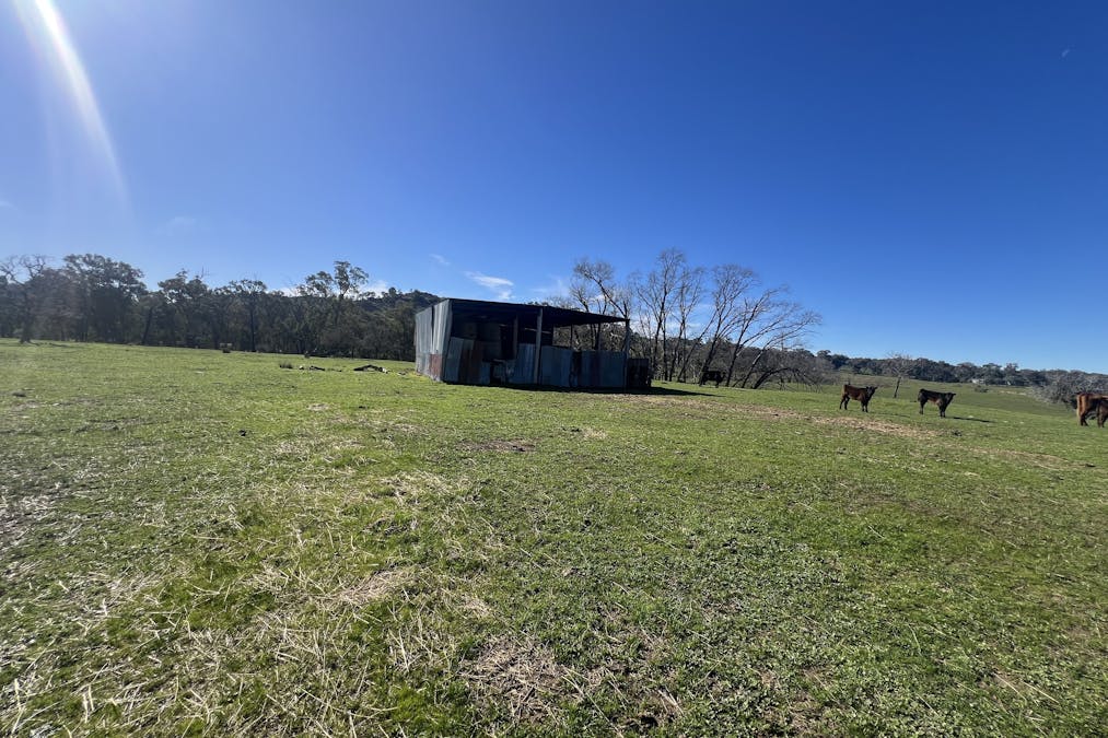 Cheesley Gate Road, Indigo Valley, VIC, 3688 - Image 7