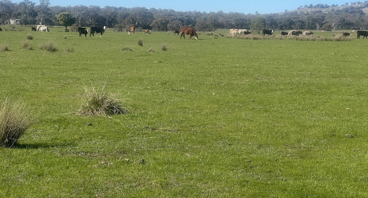 Cheesley Gate Road, Indigo Valley, VIC, 3688 - Image 22