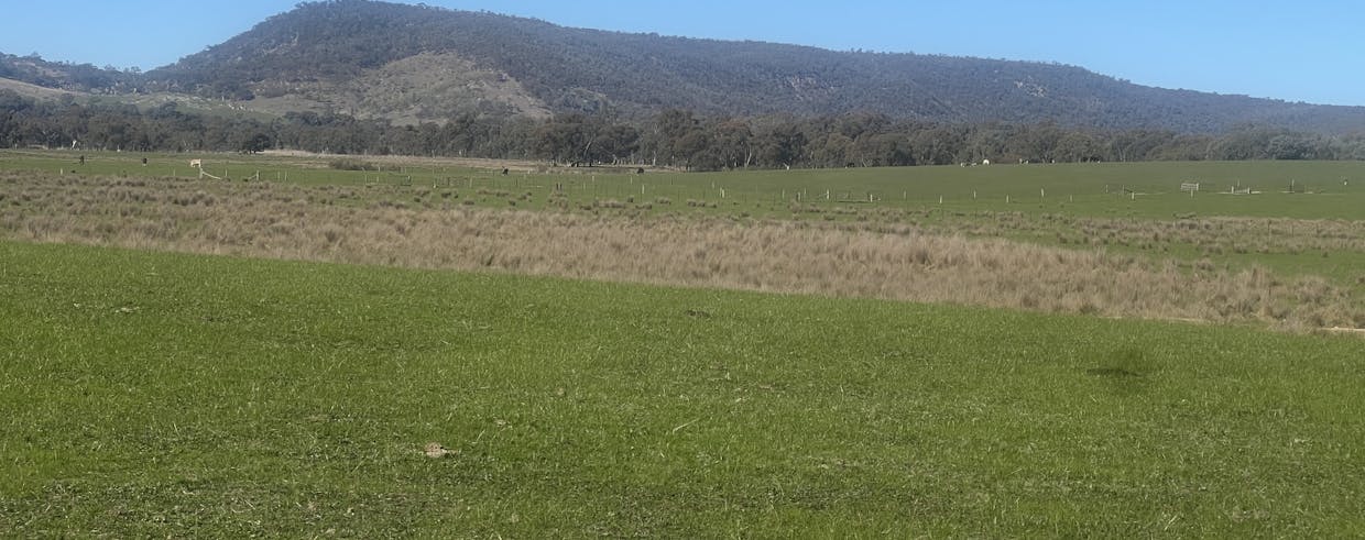 Cheesley Gate Road, Indigo Valley, VIC, 3688 - Image 21