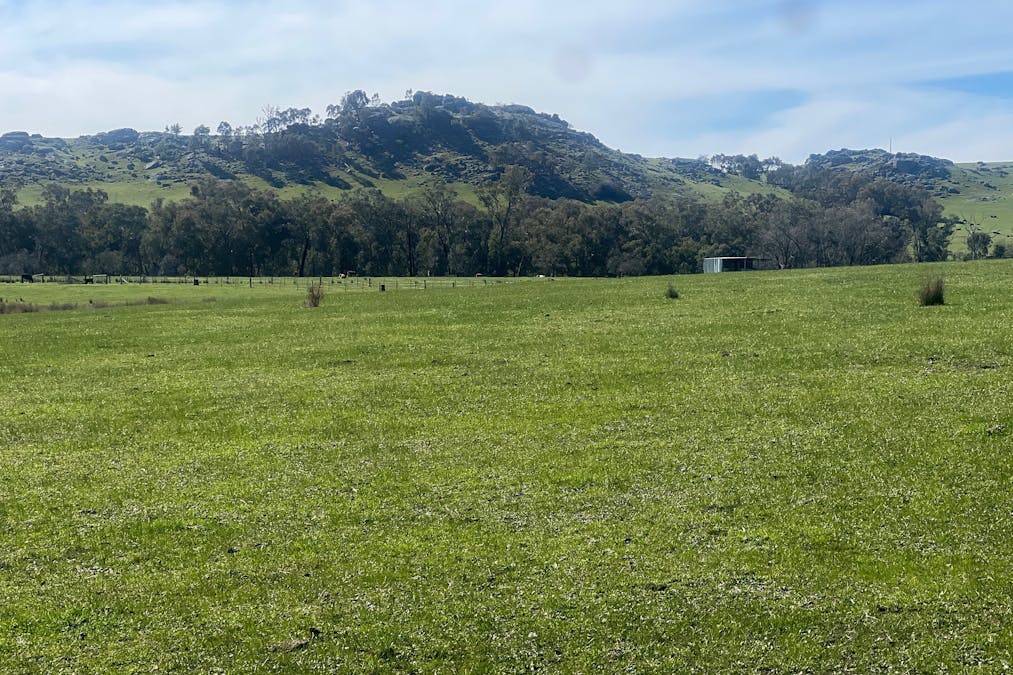 Cheesley Gate Road, Indigo Valley, VIC, 3688 - Image 17