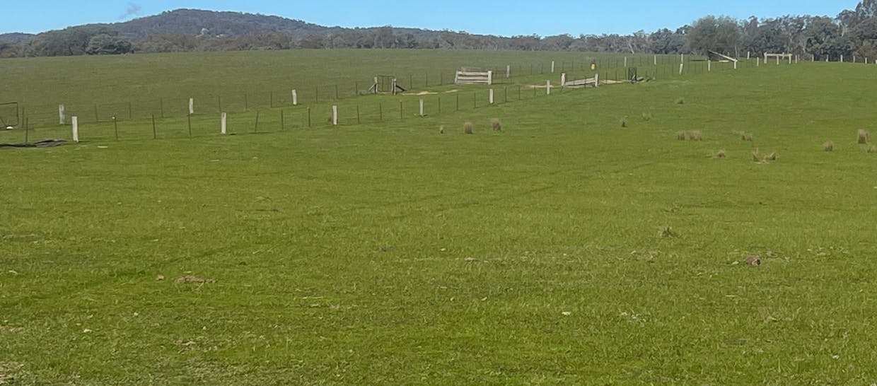 Cheesley Gate Road, Indigo Valley, VIC, 3688 - Image 25