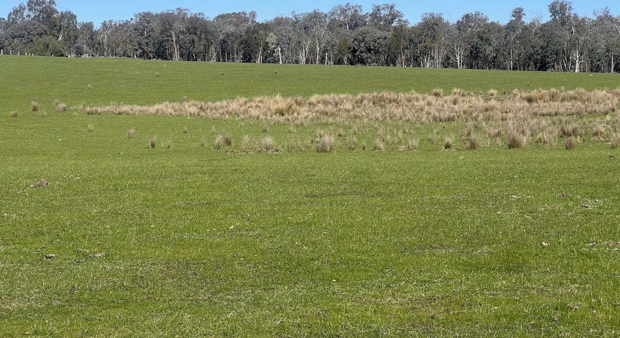 Cheesley Gate Road, Indigo Valley, VIC, 3688 - Image 19