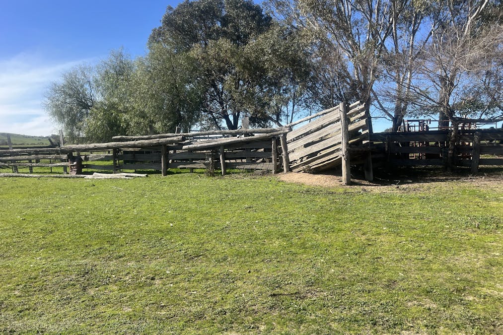 Cheesley Gate Road, Indigo Valley, VIC, 3688 - Image 4