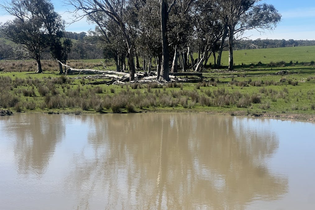 Cheesley Gate Road, Indigo Valley, VIC, 3688 - Image 8