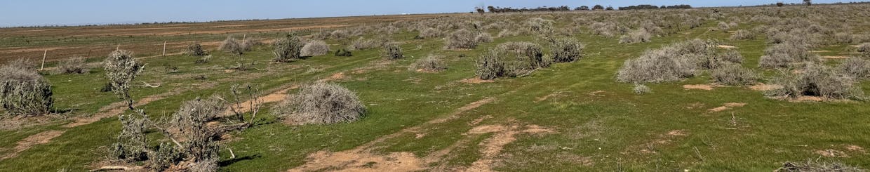 387/North Parham Road, Parham, SA, 5501 - Image 2
