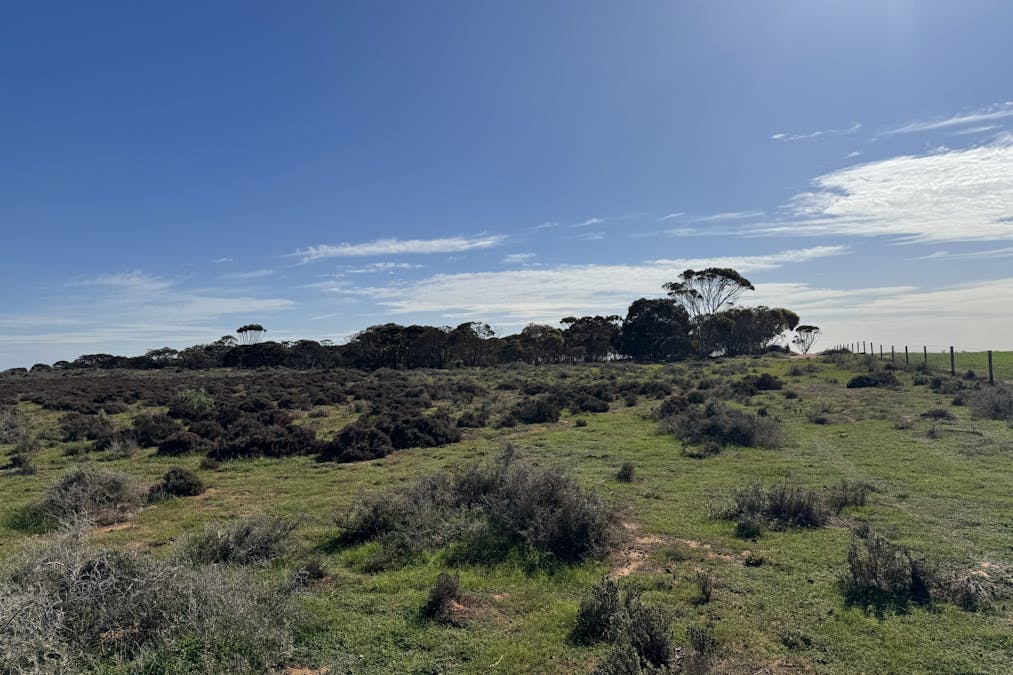 387/North Parham Road, Parham, SA, 5501 - Image 6