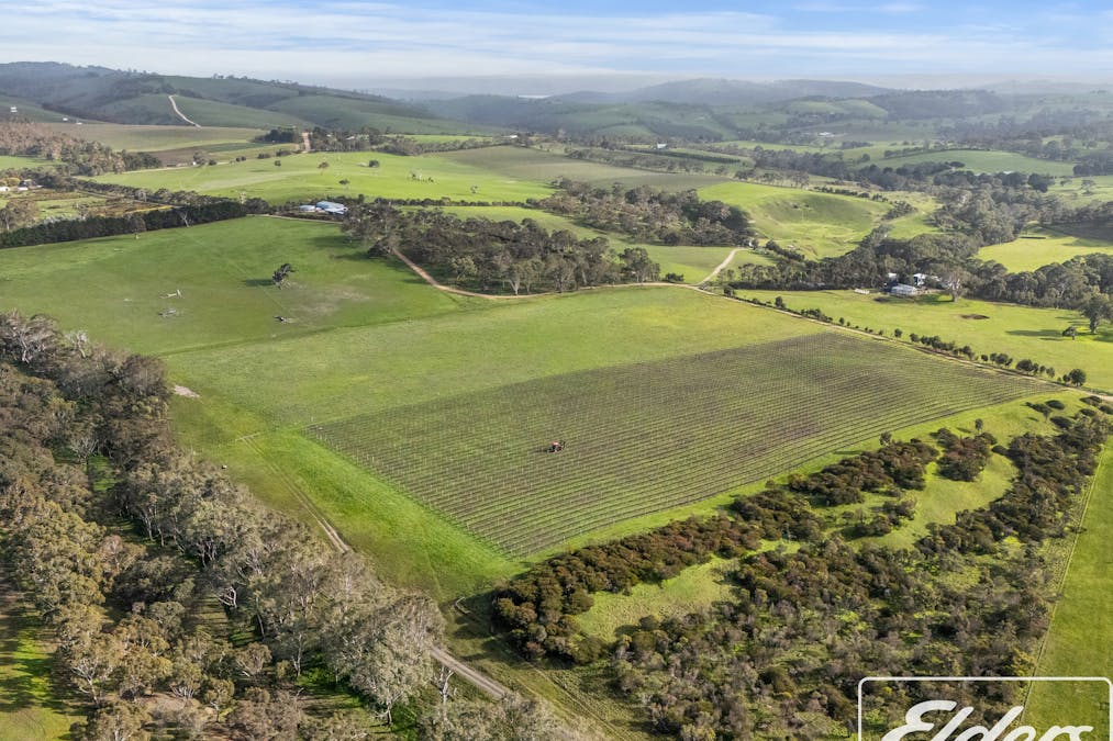 200 Braeside Road, Finniss, SA, 5255 - Image 31