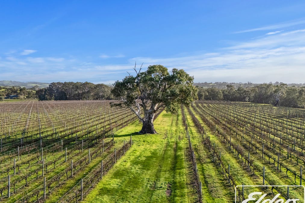 200 Braeside Road, Finniss, SA, 5255 - Image 21