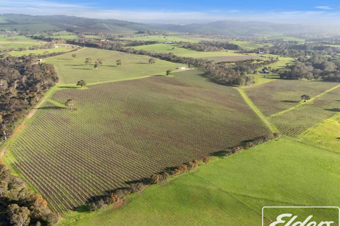 200 Braeside Road, Finniss, SA, 5255 - Image 1