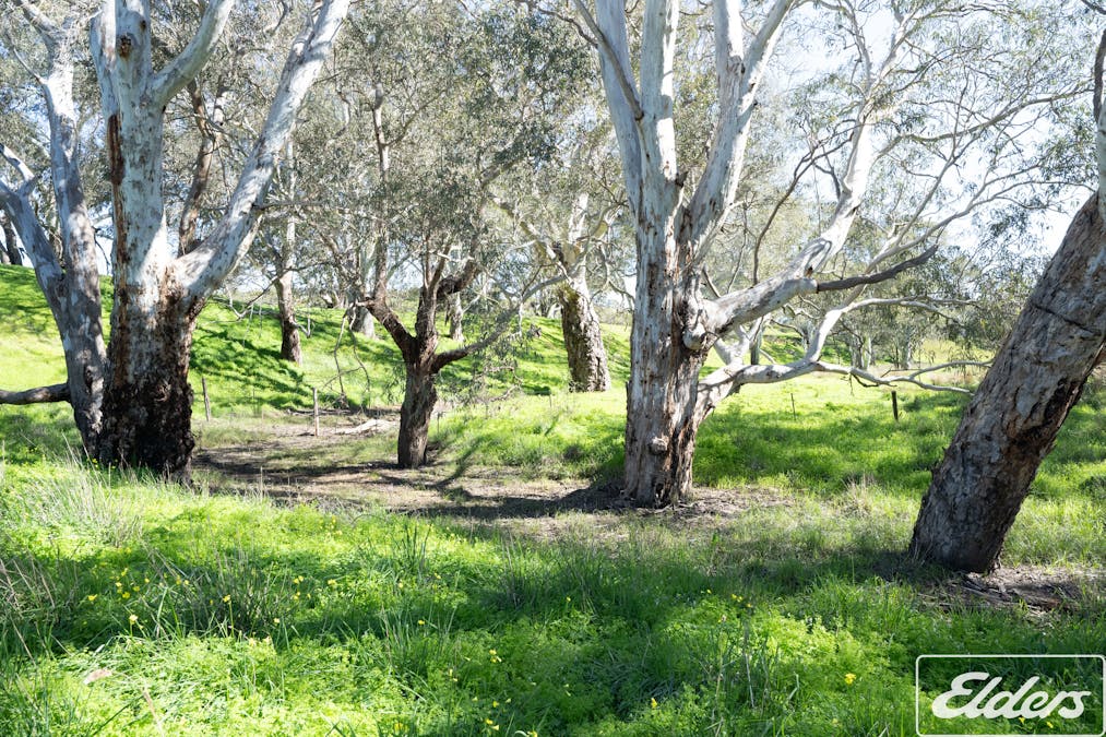 200 Braeside Road, Finniss, SA, 5255 - Image 19