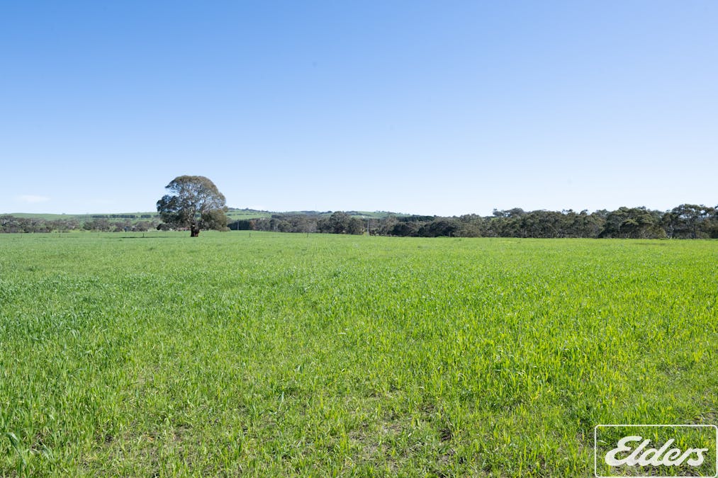 200 Braeside Road, Finniss, SA, 5255 - Image 29