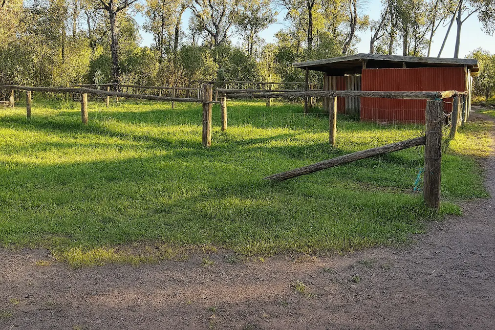 Tara, QLD, 4421 - Image 5