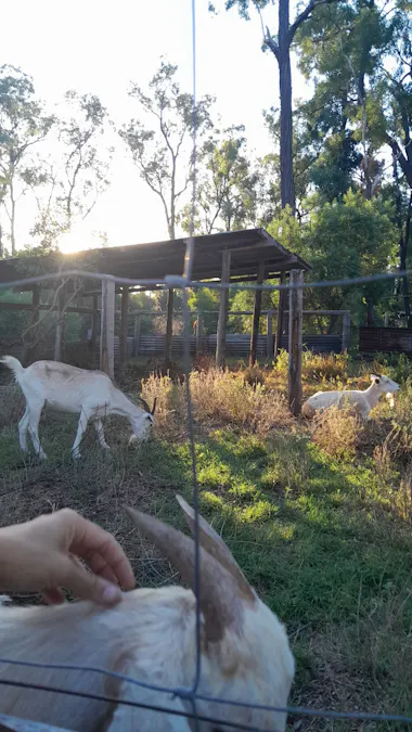 Tara, QLD, 4421 - Image 6