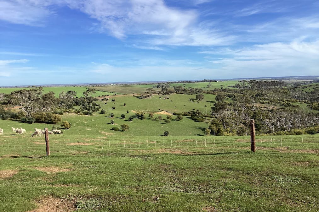 1/Harriet Road, Newland, SA, 5223 - Image 5
