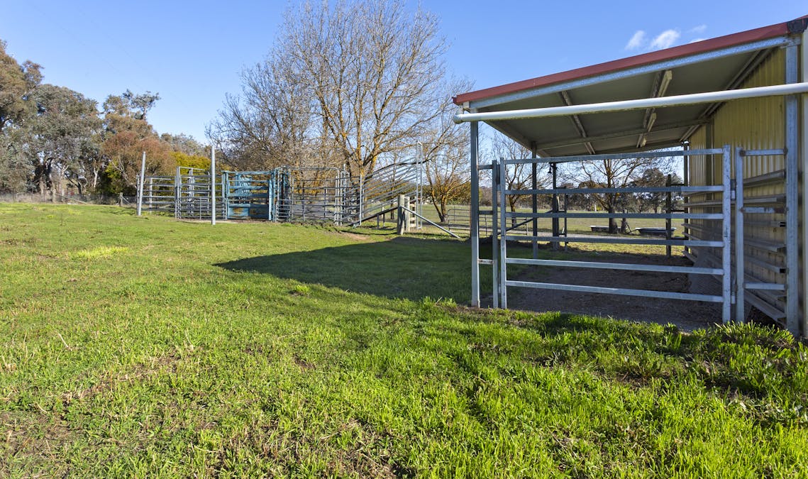 378 Hillview Drive, Murrumbateman, NSW, 2582 - Image 23