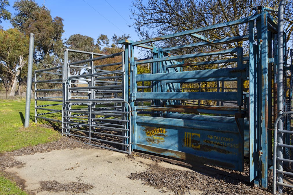 378 Hillview Drive, Murrumbateman, NSW, 2582 - Image 24