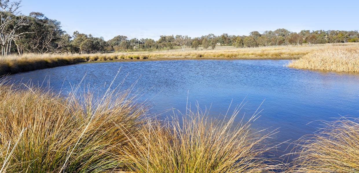 378 Hillview Drive, Murrumbateman, NSW, 2582 - Image 28