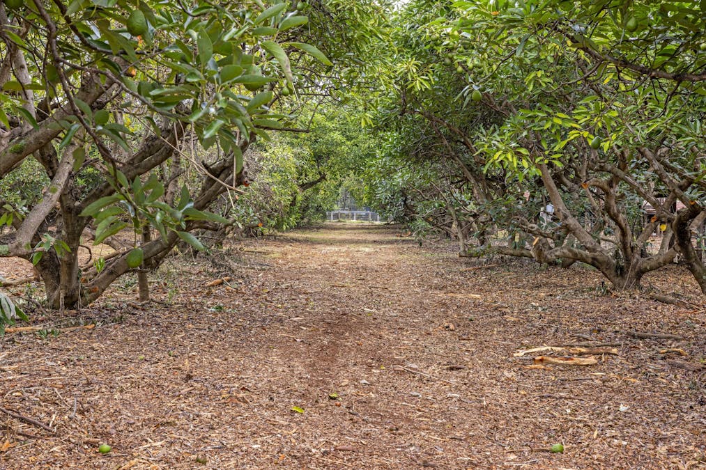 54 Donovan Road, Cabarlah, QLD, 4352 - Image 25