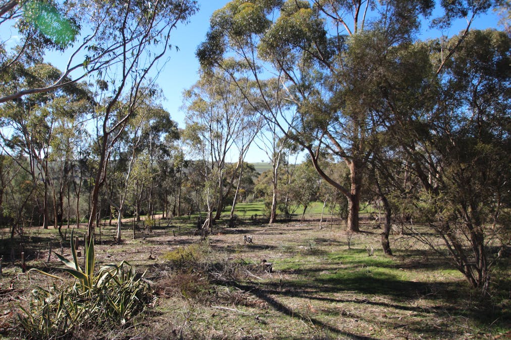9/West Terrace, Leasingham, SA, 5452 - Image 2