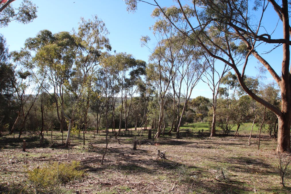 9/West Terrace, Leasingham, SA, 5452 - Image 8