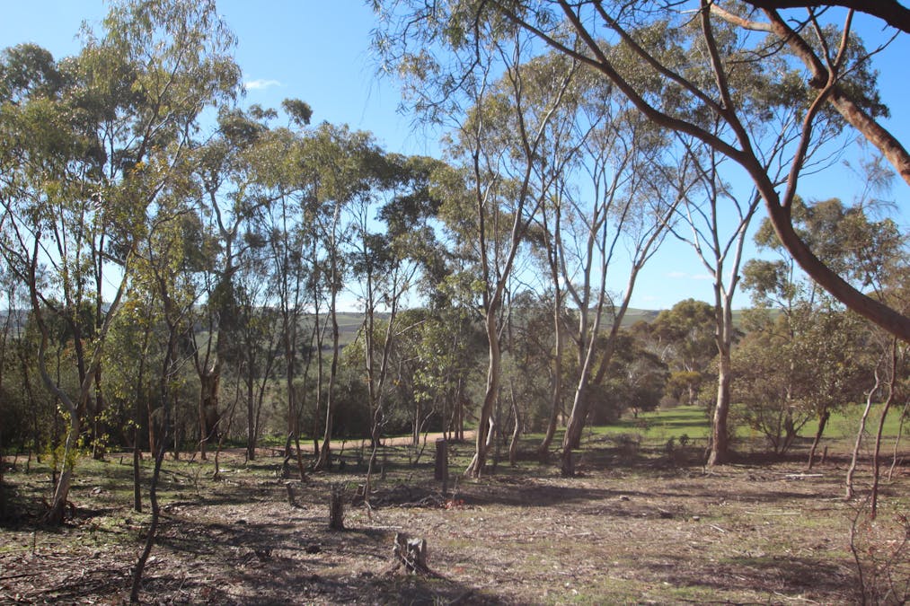 9/West Terrace, Leasingham, SA, 5452 - Image 9