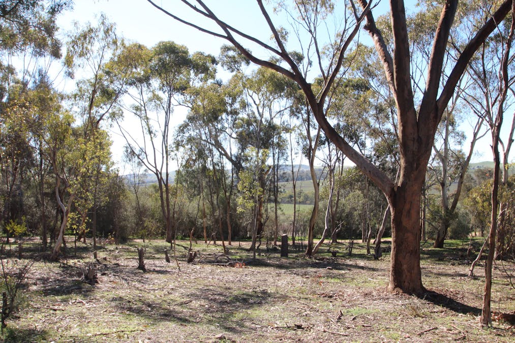 9/West Terrace, Leasingham, SA, 5452 - Image 7
