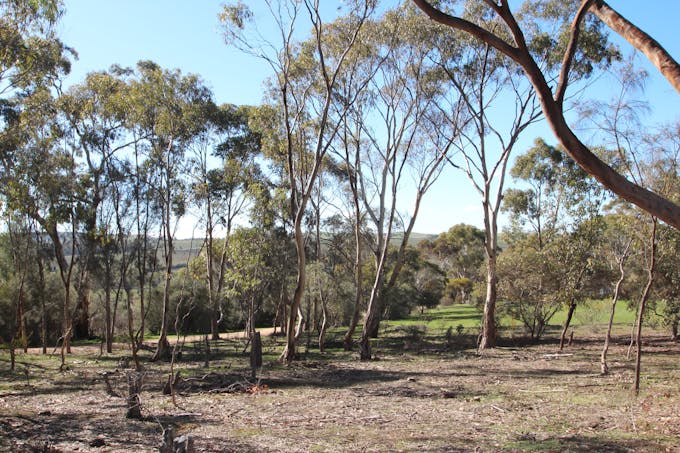 9/West Terrace, Leasingham, SA, 5452 - Image 1