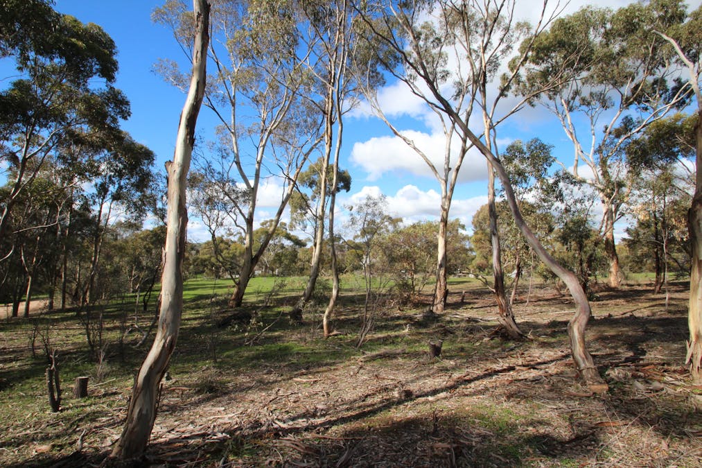 9/West Terrace, Leasingham, SA, 5452 - Image 6