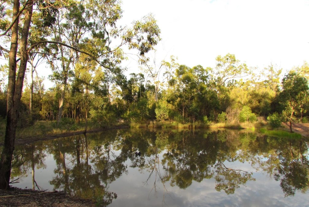 Tara, QLD, 4421 - Image 4