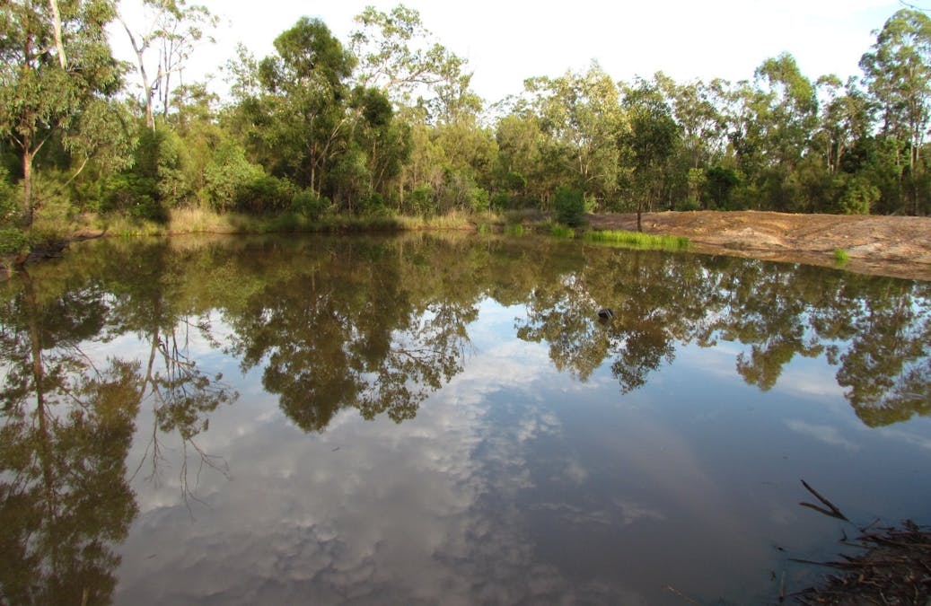 Tara, QLD, 4421 - Image 5