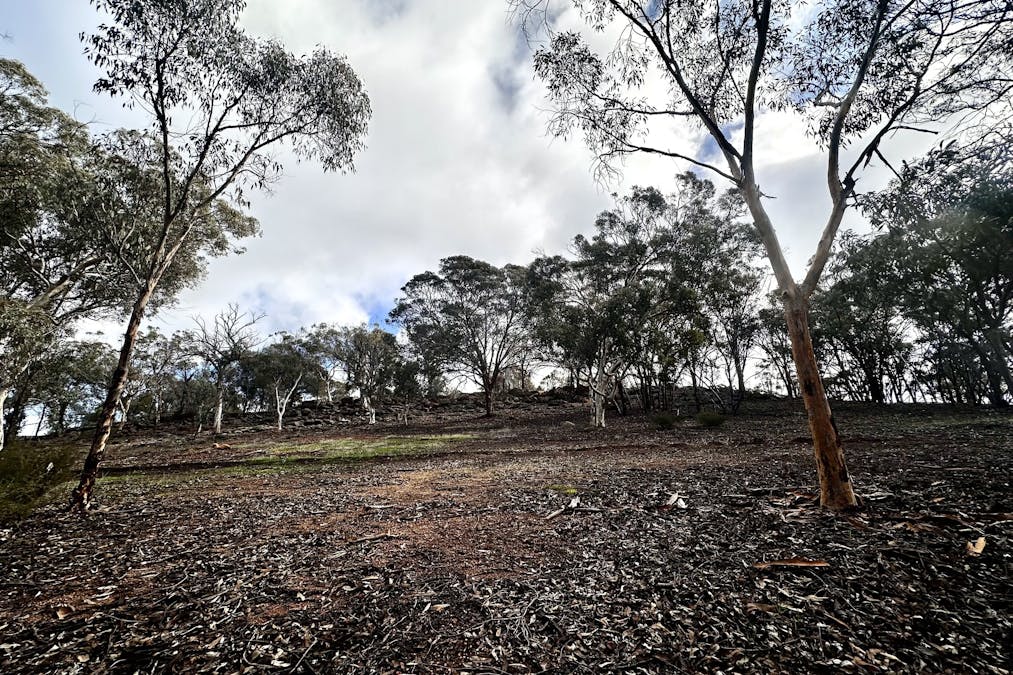 517 Yilliminning Road, Narrogin Valley, WA, 6312 - Image 28