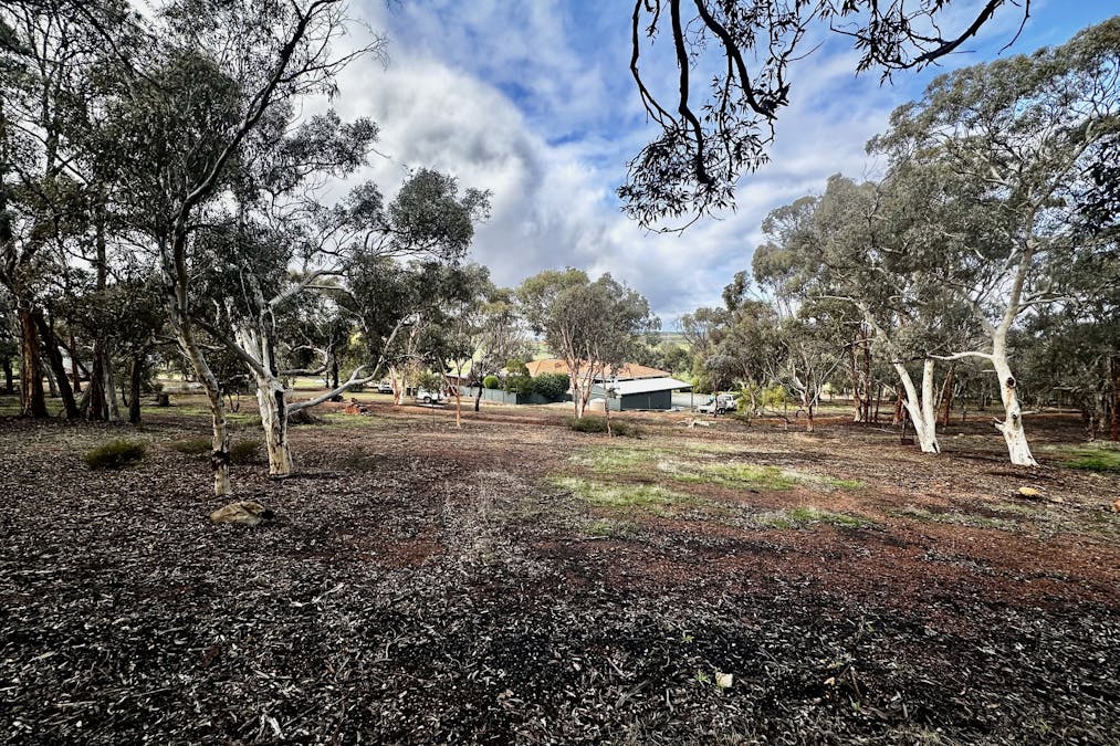 517 Yilliminning Road, Narrogin Valley, WA, 6312 - Image 29