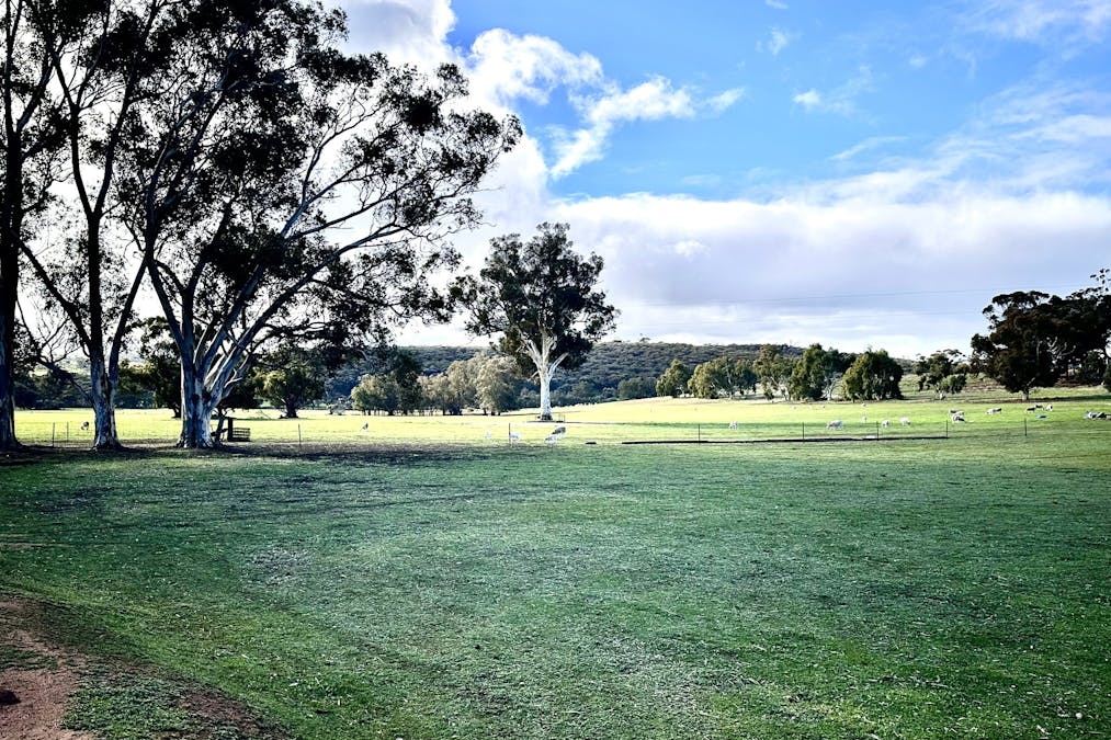 517 Yilliminning Road, Narrogin Valley, WA, 6312 - Image 23